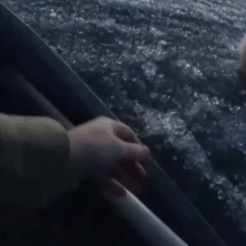 img-10 Tragedie: Bărbat de 31 de ani mort electrocutat în încercarea de a-și salva câinele în timpul unei furtuni