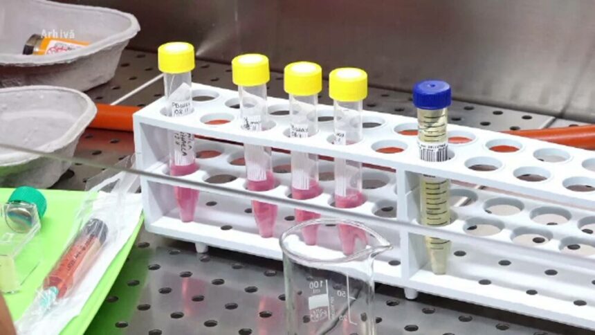 img Tinerii si riscurile legate de relatiile intime neprotejate