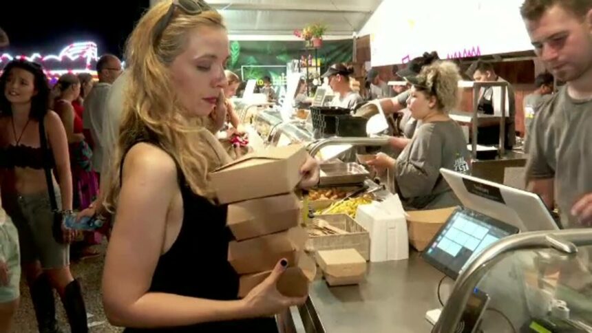 Cozi imense la Electric Castle: experiența petrecăreților la festivalul muzical