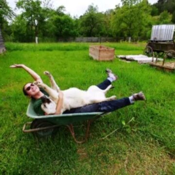 img Cum să îți protejezi animalul de companie în zilele caniculare