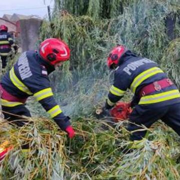 img Alimentarea cu electricitate întreruptă în Simeria, Hunedoara din cauza unor crengi rupte