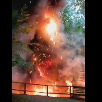 img Incendiu la Dino Parc din Râşnov. Un dinozaur de zece metri a luat foc