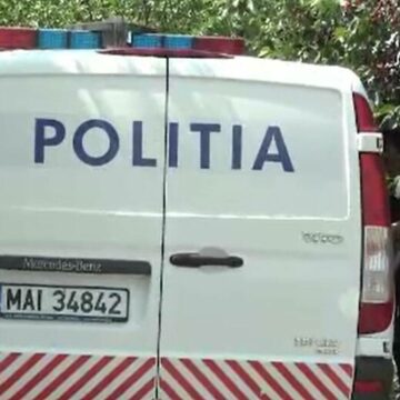 img Descoperire șocantă în Vaslui: Un craniu uman adus de câinii maidanezi