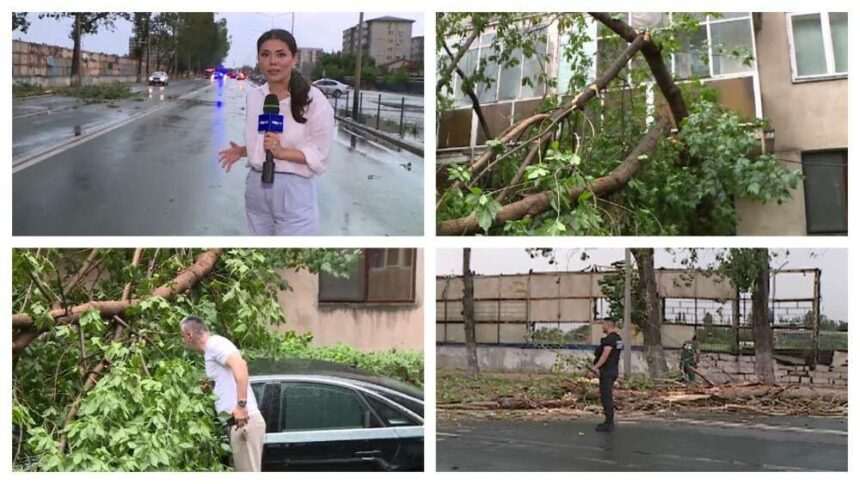 img-127 Furtuna violentă în București: copaci căzuți, mașini distruse și oameni răniți