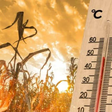 img Recordul de temperatură la nivel planetar a fost doborât în 24 de ore. 22 iulie, cea mai călduroasă zi măsurată vreodată