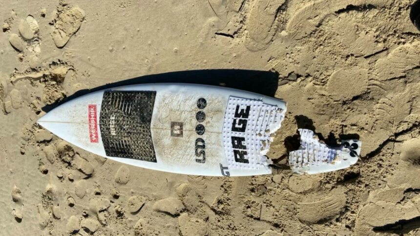 img Supraviețuire miraculoasă – Surfer atacat de rechin