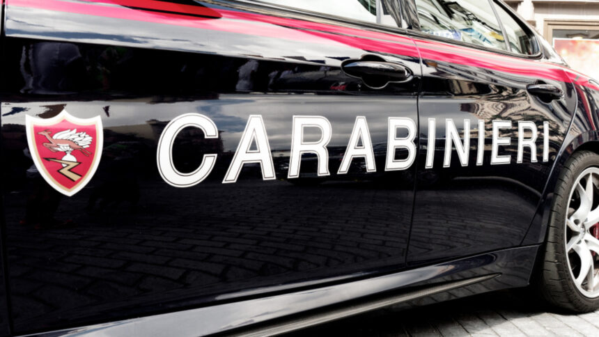 img Dispariția lui Gabriel Crișan în Aeroportul din Italia