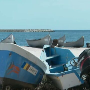 img Fenomen îngrijorător în Marea Neagră: Pescarii români se confruntă cu lipsa peștelui