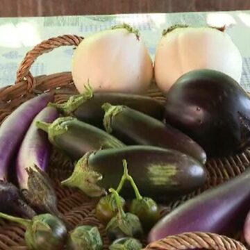 img Cele mai bune vinete aduse din străinătate disponibile în România