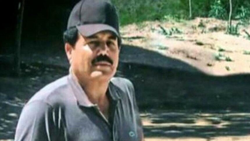 img Răpirea baronului drogurilor de către fiul lui El Chapo