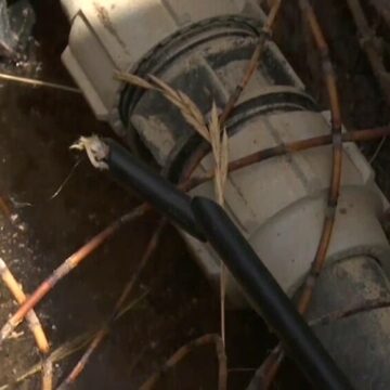 Proteste și controverse la Jocurile Olimpice din Franța