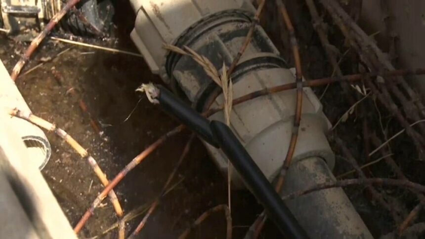 img Proteste și controverse la Jocurile Olimpice din Franța