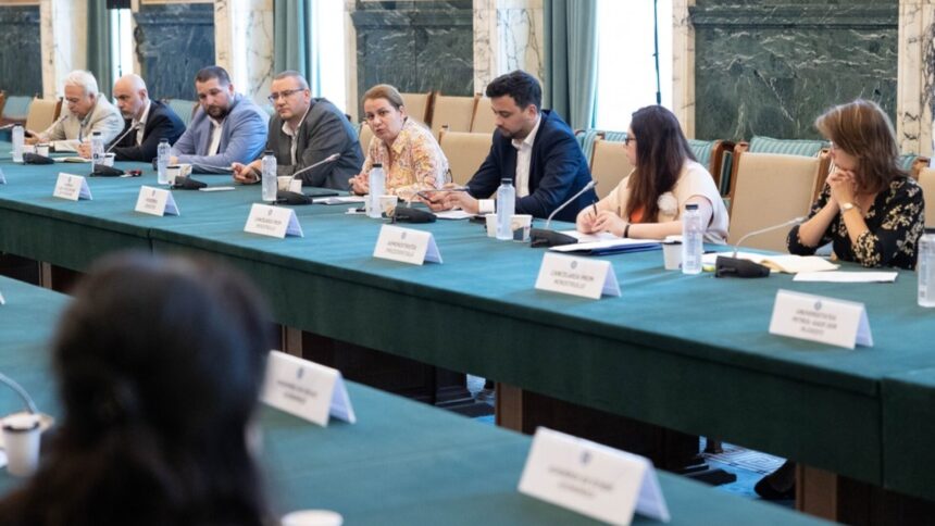 img Guvernul României discută cu mediul academic despre reducerea gazelor cu efect de seră