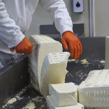 img Brânzeturile românești exportate în SUA: o poveste de succes