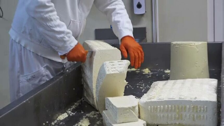 Brânzeturile românești exportate în SUA: o poveste de succes