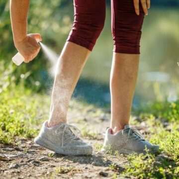 img-206 Impactul caniculei asupra înmulțirii gândacilor și țânțarilor