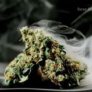 Cum s-ar fi intoxicat cu canabis fetița de 3 ani, în Constanța. Copila avea un comportament bizar