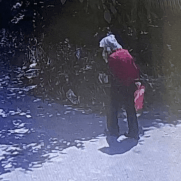 Fosta învățătoare din Buzău găsită moartă într-un lan de porumb