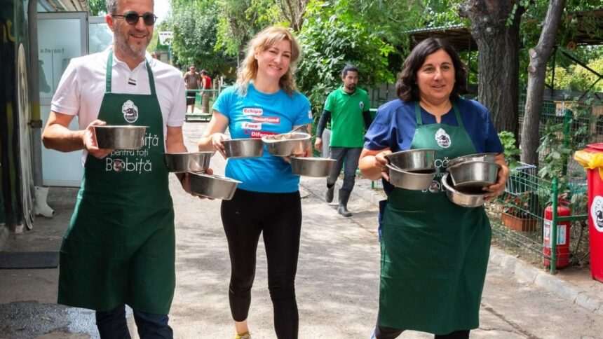 Kaufland România se alătură Adăpostului Speranța: peste 500 porții de mâncare pentru câinii din adăpost