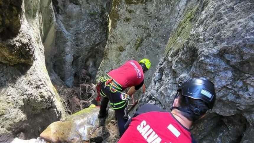 Accident cu ATV-ul în zona Lepşa. Cum au reușit salvamontiștii să scoată victimele dintr-o zonă abruptă