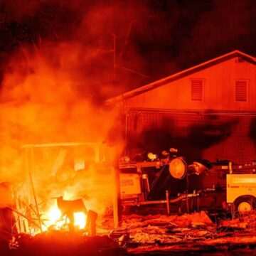 img-328 Incendiile din California în contextul valului de caniculă