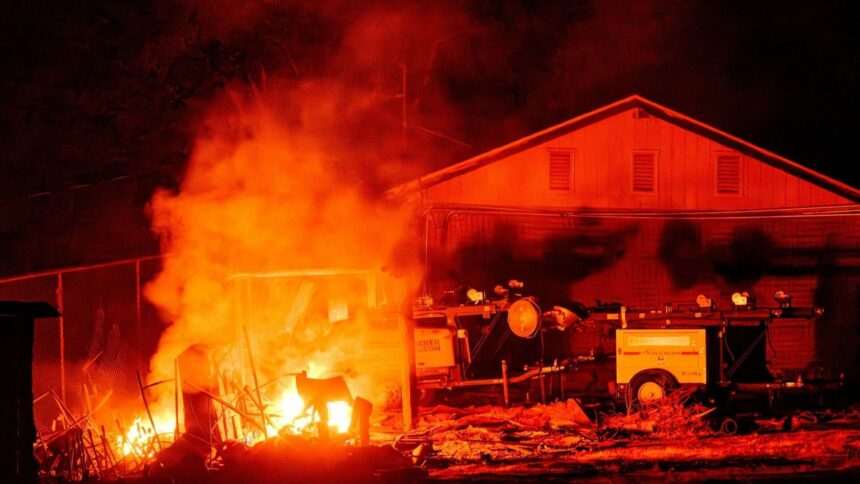 Incendiile din California în contextul valului de caniculă