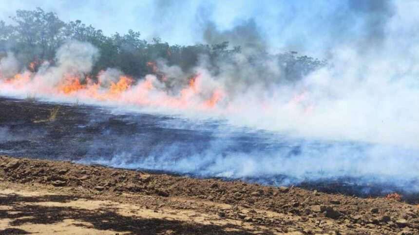 Incendiu de proporții în Vaslui. Intervenția pompierilor pentru limitarea pagubelor
