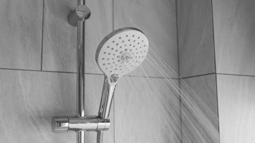 img-393 Lucrări de reparații la rețeaua de termoficare din București – Sectoarele afectate și perioada fără apă caldă