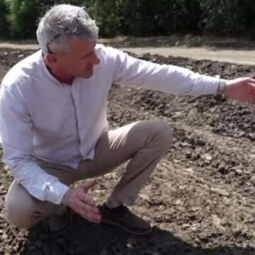 img-407 Impactul secetei asupra fermierilor din Romania