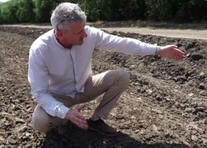 img-407 Impactul secetei asupra fermierilor din Romania