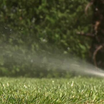 img-439 Creșterea cererii pentru echipamente de irigat în România