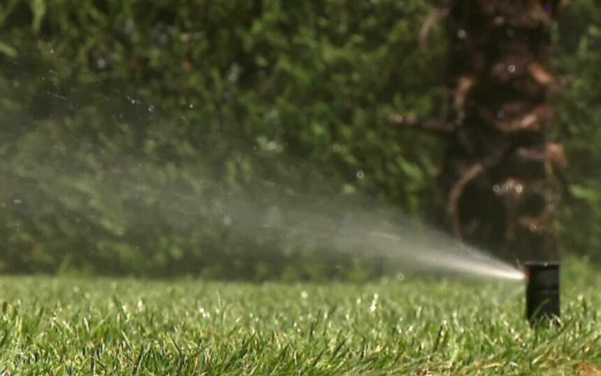 img-439 Creșterea cererii pentru echipamente de irigat în România