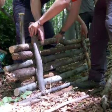 img-495 Experiențe de neuitat pentru copii în taberele de vară