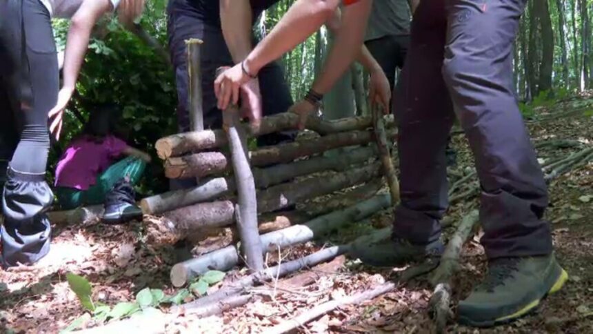 Experiențe de neuitat pentru copii în taberele de vară