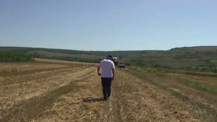 img-496 Criza de tractoriști în agricultură: soluția fermierilor români