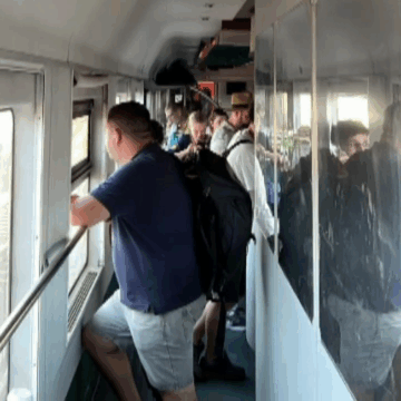 img-5 Intarziere tren Mangalia – Satu Mare din cauza unui copac cazut