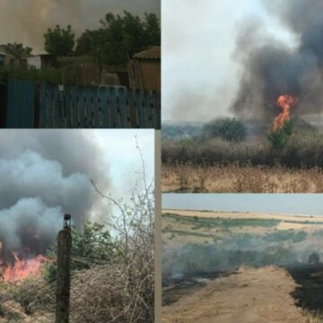 img-541 Incendiu masiv în Constanța. 20 de gospodării au ars, în urma unui incendiu de vegetație. VIDEO