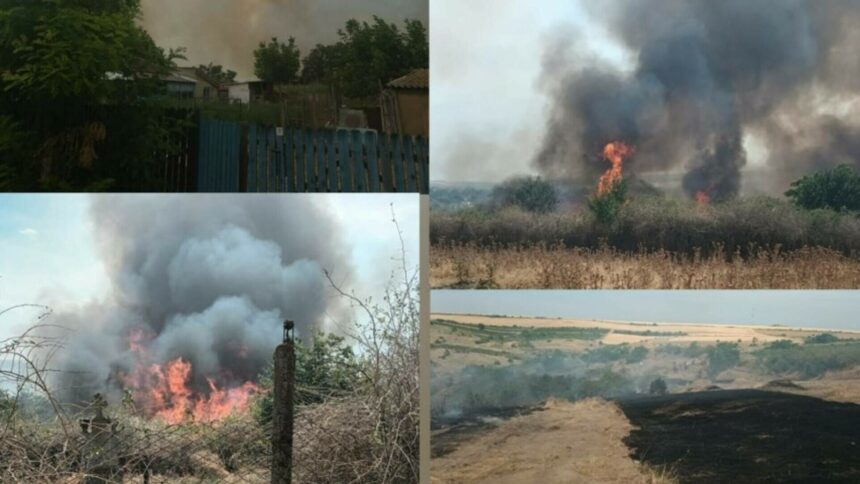 img-541 Incendiu masiv în Constanța. 20 de gospodării au ars, în urma unui incendiu de vegetație. VIDEO