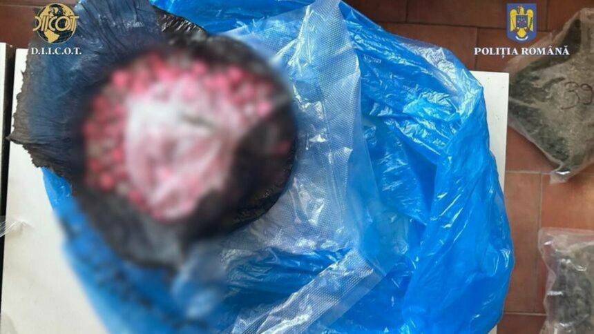 img-543 Dealer din Arad a fugit în timpul flagrantului. Incercare de vânzare a drogurilor