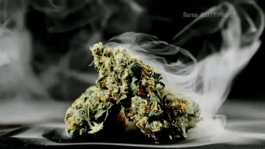 Bărbat din Bihor prins în flagrant vânzând canabis