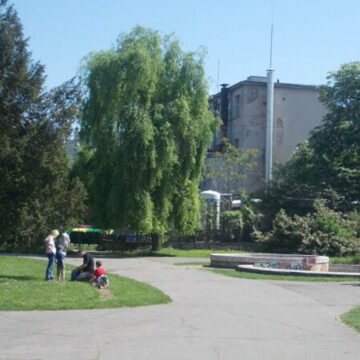 Asociația de locatari din Constanța amendată cu 300.000 euro pentru diminuarea spațiului verde