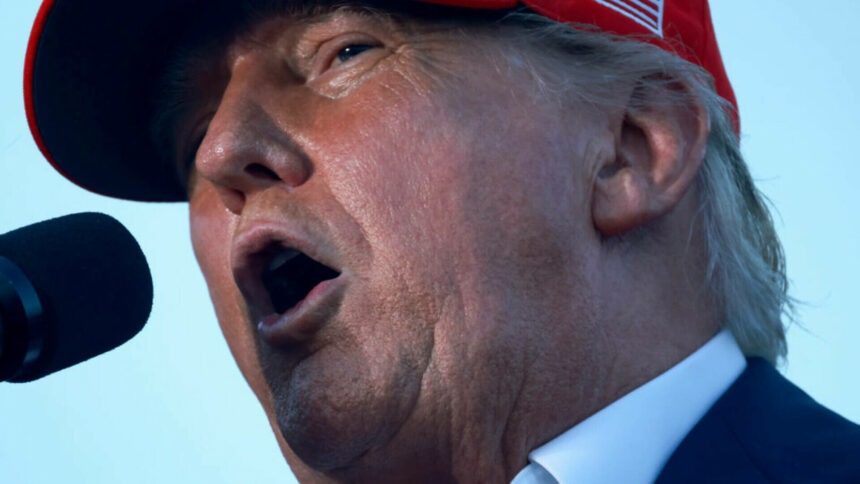 img-713 Planul lui Donald Trump după ce a fost ținta unei tentative de asasinat