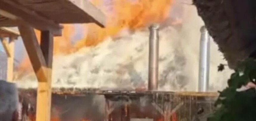 img-716 Incendiu violent în Delta Dunării