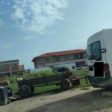 Poliția Locală din Timișoara amendează persoanele care cresc animale în municipiu