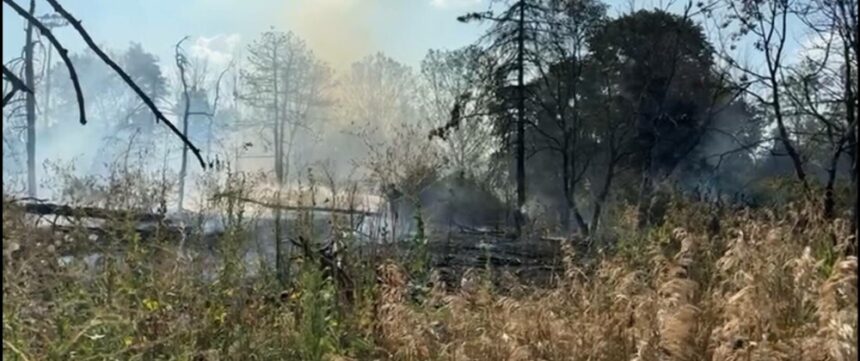 img-730 Incendiu puternic în parcul IOR. Au fost afectați 700 de metri pătrați