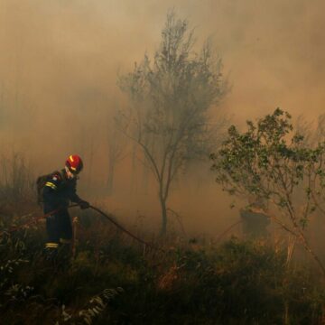 Incendii de vegetație în mai multe orașe din țară