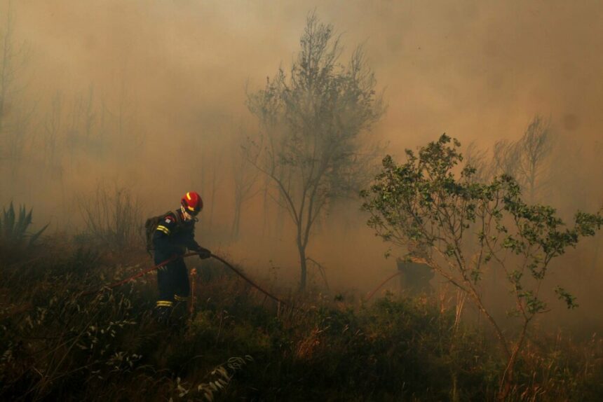 img-751 Incendii de vegetație în mai multe orașe din țară