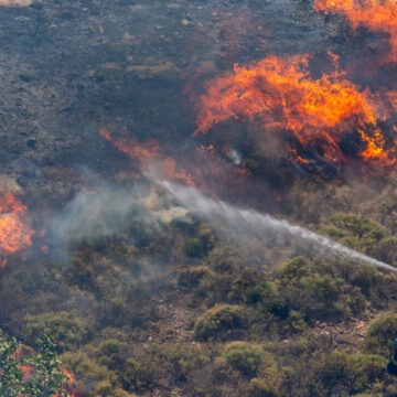 img-757 Incendii forestiere și caniculă în Macedonia de Nord