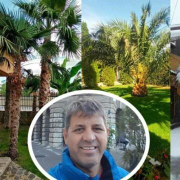 img-767 Grădina cu palmieri din Teleorman care face furori pe internet