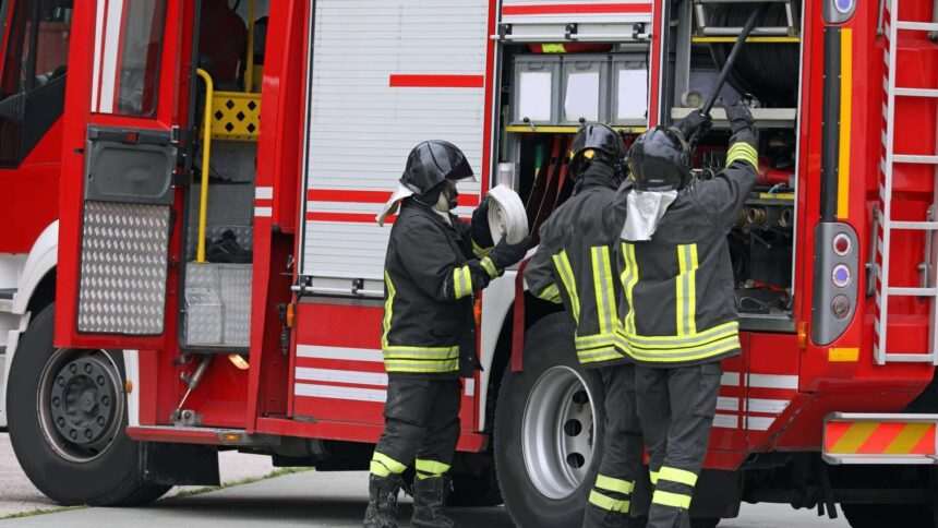 img-82 Incendiu de vegetație uscată în Popesti-Leordeni. Flăcările s-au extins la o locuință